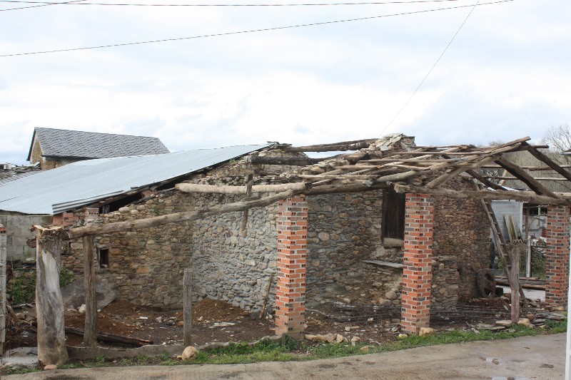 ferreirolo