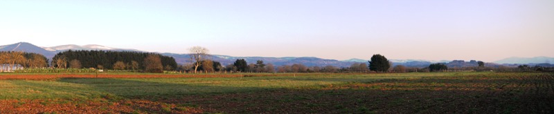 VISTA DENDE C ENTEAIS