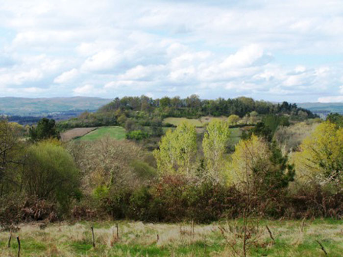 CASTRO20089