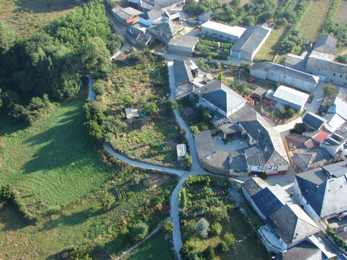 DENDEOAR2009