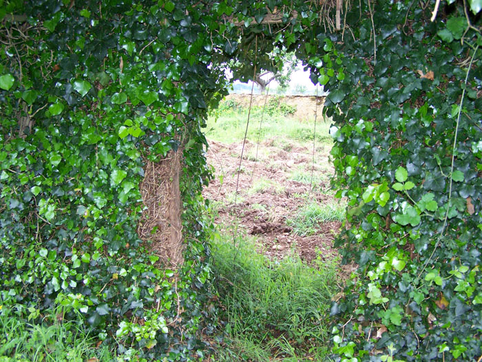 Suhortos