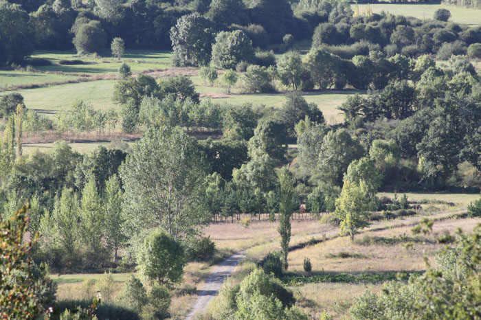 carballaldoval