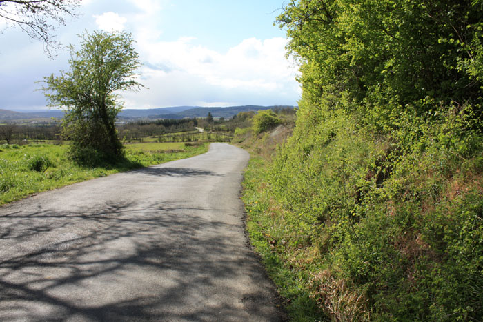 carretPino