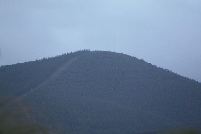 mioteira