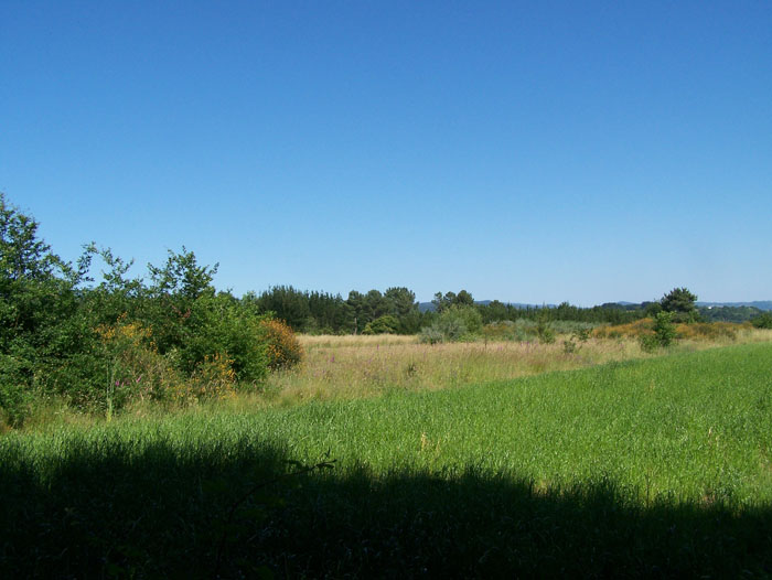 morouzon