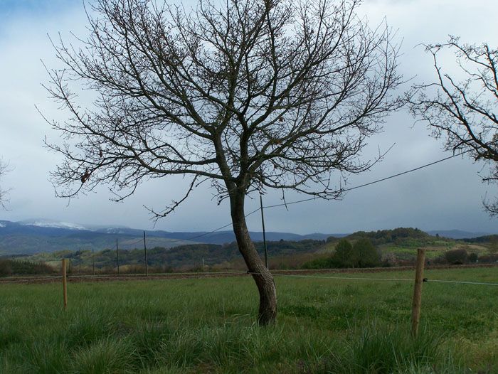 ocastrodesderivas