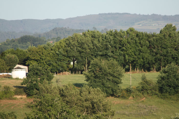 palomar