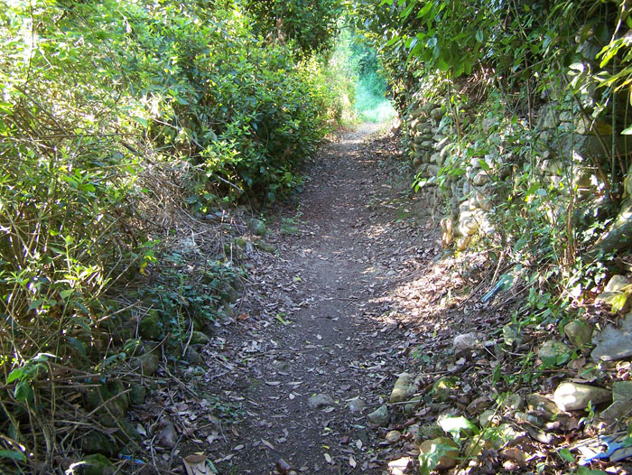 pasadizoata2009