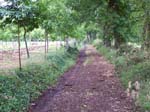 caminhosoutogrande