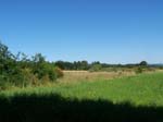 morouzon